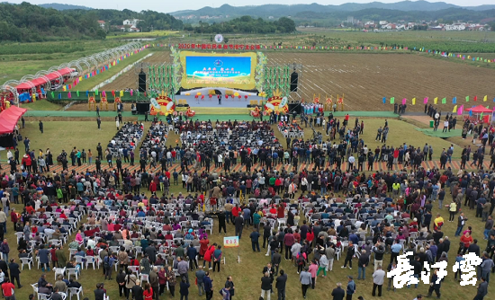 　　9月21日，咸寧市咸安區(qū)高橋蘿卜小鎮(zhèn)百畝草地上舉行了“慶豐收·迎小康”第三屆中國農(nóng)民豐收節(jié)湖北分會(huì)場咸寧主會(huì)場慶祝活動(dòng)，全市各界農(nóng)民代表相聚白水畈的美麗田野，分享豐收的喜悅，慶祝屬于自己的節(jié)日。  　　開幕式上舉行了精彩的文藝演出，演出在舞蹈《慶豐收》中拉開序幕，歌舞《錦繡小康》呈現(xiàn)出咸寧各地欣欣向榮、脫貧致富奔小康的幸福場景。網(wǎng)紅歌曲《你莫走》、舞蹈《慶豐收》、歌舞《一起幸?！罚粋€(gè)個(gè)精彩的節(jié)目輪番上演，博得現(xiàn)場觀眾陣陣掌聲。  　　開幕活動(dòng)現(xiàn)場還舉行了頒獎(jiǎng)儀式，第二屆“美麗中國、鄉(xiāng)村振興”全國農(nóng)民詩歌邀請賽獲獎(jiǎng)組織和個(gè)人，全市農(nóng)村人居環(huán)境整治示范村，省級農(nóng)業(yè)產(chǎn)業(yè)化工作先進(jìn)集體和先進(jìn)個(gè)人上臺領(lǐng)獎(jiǎng)。現(xiàn)場還舉行了鄂南民俗展演、農(nóng)民趣味運(yùn)動(dòng)會(huì)、扶貧農(nóng)產(chǎn)品以及咸寧特色農(nóng)產(chǎn)品展銷等豐富多彩的活動(dòng)?；鸨娜藲?，讓在場的展銷商賺得是盆滿缽滿。  　　咸寧市咸安區(qū)鑫達(dá)種養(yǎng)專業(yè)合作社理事長萬永輝：今年家里的香菇都豐收了，一上午我就賣出了一萬多元，我們合作社采取的是“合作社+農(nóng)戶”的模式，也帶領(lǐng)了20多戶貧困戶脫貧了。  　　咸寧市致遠(yuǎn)種植專業(yè)合作社理事長 吳海兵:我們今年是真真正正地豐收了，我們生姜的價(jià)格足足翻了三倍，跟著我們一起的貧困戶也平均增收了3000元左右。  　　而這一系列的活動(dòng)，都是在蘿卜小鎮(zhèn)的草地上進(jìn)行的，草地作舞臺、草地搞展示、草地上比賽等等，這數(shù)百畝草地，此時(shí)此刻成為了咸寧農(nóng)民們慶祝豐收的歡樂場。  　　咸寧市咸安區(qū)高橋鎮(zhèn)黨委書記王順榮：今年的湖北分會(huì)場在我們高橋蘿卜小鎮(zhèn)舉辦，我感到很榮幸，我們從一顆蘿卜做起，以白水畈蘿卜為核心品牌，打造白水畈"我家菜園"蔬菜基地及旅游觀光體驗(yàn)中心，發(fā)展綠色農(nóng)業(yè)、生態(tài)旅游，增加產(chǎn)業(yè)開發(fā)的綜合效益，創(chuàng)建蘿卜特色小鎮(zhèn)，走出了一條農(nóng)業(yè)、旅游相結(jié)合的新路，推動(dòng)高橋鎮(zhèn)一二三產(chǎn)業(yè)融合發(fā)展。  　　鄉(xiāng)親們說，這在以前是想都不敢想的，高橋鎮(zhèn)蝸居山里，太偏遠(yuǎn)又沒有資源優(yōu)勢，想發(fā)展太難。而現(xiàn)在這一切的悄然改變，得益于2017年10月13日，咸安區(qū)政府與鄂旅投公司正式簽署的《131軍旅小鎮(zhèn)+白水畈田園綜合體旅游開發(fā)投資合作協(xié)議》，鄂旅投公司將投資30億元，在高橋鎮(zhèn)打造131軍旅小鎮(zhèn)和白水畈田園綜合體旅游開發(fā)項(xiàng)目。項(xiàng)目共分為131軍旅小鎮(zhèn)、白水畈美麗鄉(xiāng)村、特色農(nóng)業(yè)示范、旅游綜合體四大板塊，打造旅游綜合服務(wù)區(qū)、澄水洞軍事展示區(qū)、青少年國防教育基地、鐵血軍事樂園區(qū)、戰(zhàn)狼訓(xùn)練基地、美麗村灣民俗區(qū)、四季瓜果示范區(qū)、農(nóng)耕文化展示區(qū)、特色商業(yè)街區(qū)和康養(yǎng)度假區(qū)十大功能區(qū)。  　　咸寧市咸安區(qū)高橋鎮(zhèn)黨委書記王順榮：我們引進(jìn)鄂旅投，打造蘿卜小鎮(zhèn)，目前建設(shè)有蘿卜小鎮(zhèn)科普館、蘿卜鄉(xiāng)學(xué)院、蘿卜酒店等休閑旅游項(xiàng)目，十一馬上到了，也歡迎廣大游客前來游玩。  　　今年是決勝全面建成小康社會(huì)、決戰(zhàn)脫貧攻堅(jiān)之年。咸寧市本著"儉樸、祥和、歡樂，農(nóng)民參與，農(nóng)民唱主角"的辦節(jié)思路，而此屆中國農(nóng)民豐收節(jié)辦節(jié)費(fèi)用也是倍減。  　　農(nóng)為邦本，本固邦寧。今年，面對重大疫情和特大洪澇災(zāi)害，咸寧市扎實(shí)做好“六穩(wěn)”工作、落實(shí)“六?！比蝿?wù)，克服重重困難，推動(dòng)農(nóng)業(yè)實(shí)現(xiàn)持續(xù)平穩(wěn)發(fā)展，形成了茶葉、油茶、中藥材等12個(gè)特色農(nóng)業(yè)主導(dǎo)產(chǎn)業(yè)，“全國一村一品示范村鎮(zhèn)”發(fā)展到14家，國家級、省級農(nóng)業(yè)產(chǎn)業(yè)化龍頭企業(yè)達(dá)到55家。尤其是糧食產(chǎn)量預(yù)計(jì)達(dá)118萬噸、蔬菜產(chǎn)量預(yù)計(jì)達(dá)260萬噸，生豬預(yù)計(jì)出欄183.52萬頭，農(nóng)業(yè)生產(chǎn)再獲豐收，糧食安全有效保障，讓農(nóng)民的腰包更鼓、家園更美、生活更甜，為加快實(shí)施鄉(xiāng)村振興戰(zhàn)略、推動(dòng)咸寧高質(zhì)量發(fā)展提供堅(jiān)實(shí)保障。